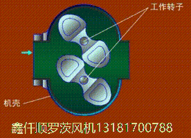 罗茨草莓视频在线播放工作原理