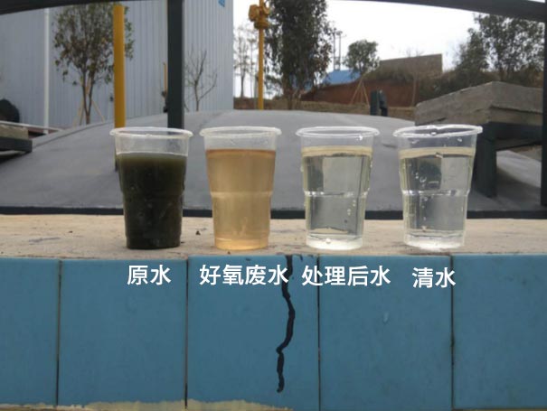 污水曝气罗茨鼓草莓视频在线播放应用案例 污水曝气罗茨鼓草莓视频在线播放应用案例