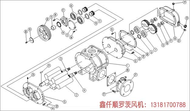 三叶罗茨鼓草莓视频在线播放安装示意图