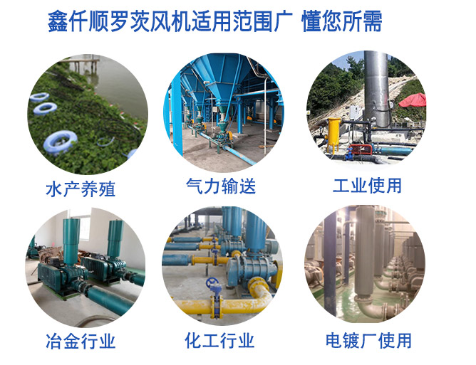 高压罗茨草莓视频在线播放(图5)