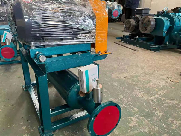 发货江苏xqssr50密集型罗茨鼓草莓视频在线播放2台(图2)